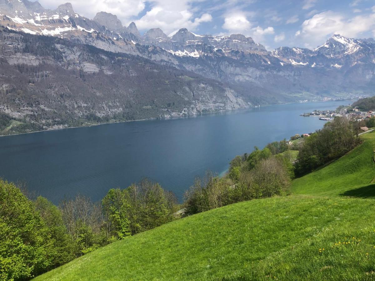 Luxurioeses Galerie-penthouse Direkt Am Walensee Unterterzen