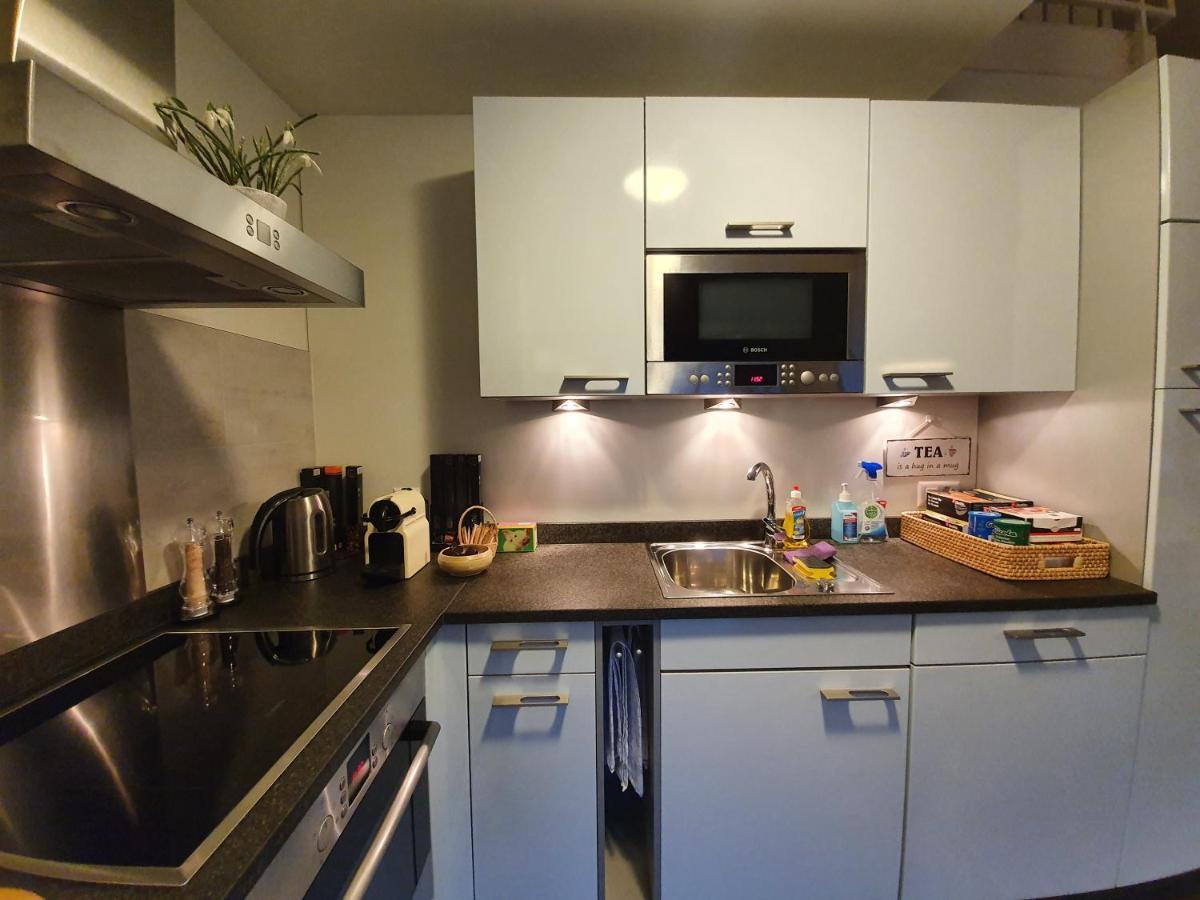 Luxurioeses Galerie-penthouse Direkt Am Walensee Appartamento